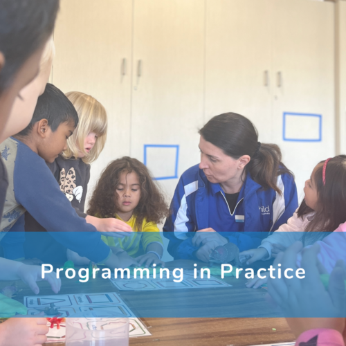 A poster that reads 'programming in practice'