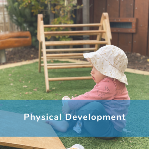 A poster that reads 'physical development'