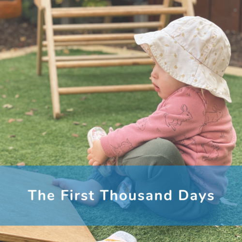 A poster that reads: The first thousand days