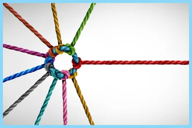 Strength in Numbers: The Power of Workplace Culture