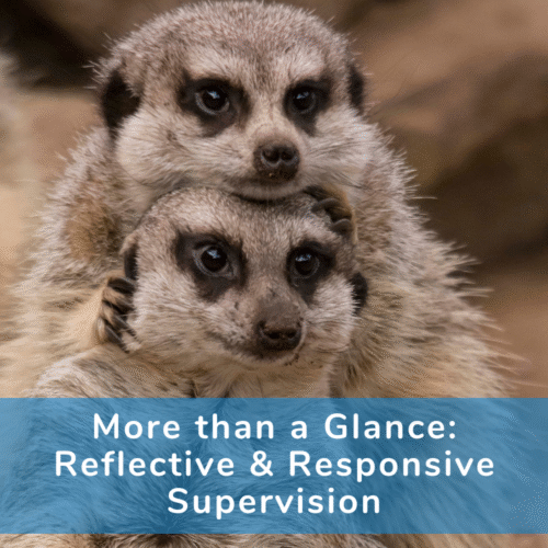 More than a Glance: Reflective & Responsive Supervision