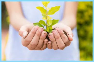 Teaching Environmental Sustainability