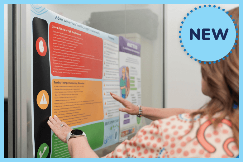 See It. Stop It. Say It. Adult Behaviour Traffic Light Framework (Core Workshop)