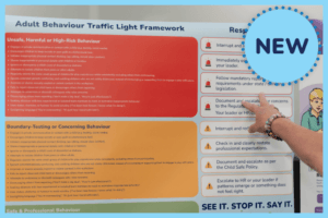See It. Stop It. Say It. Adult Behaviour Traffic Light Framework (Intensive Workshop)